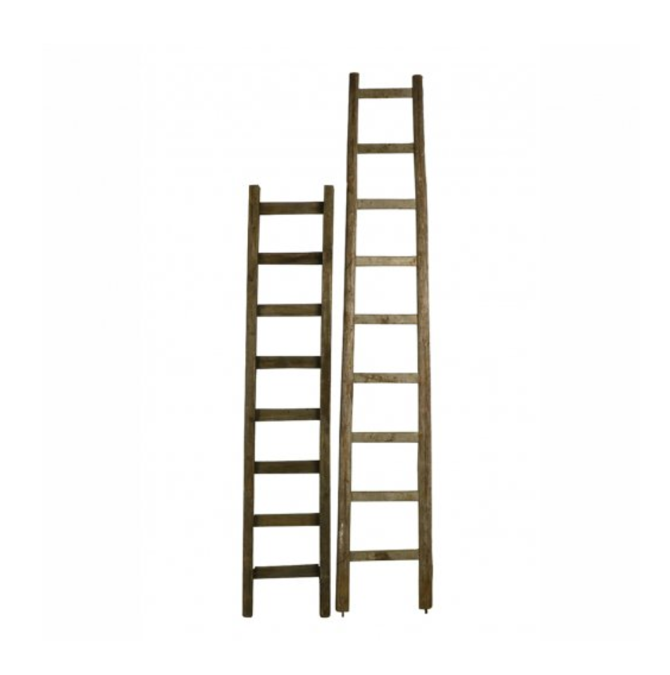 Vintage Tree Ladders