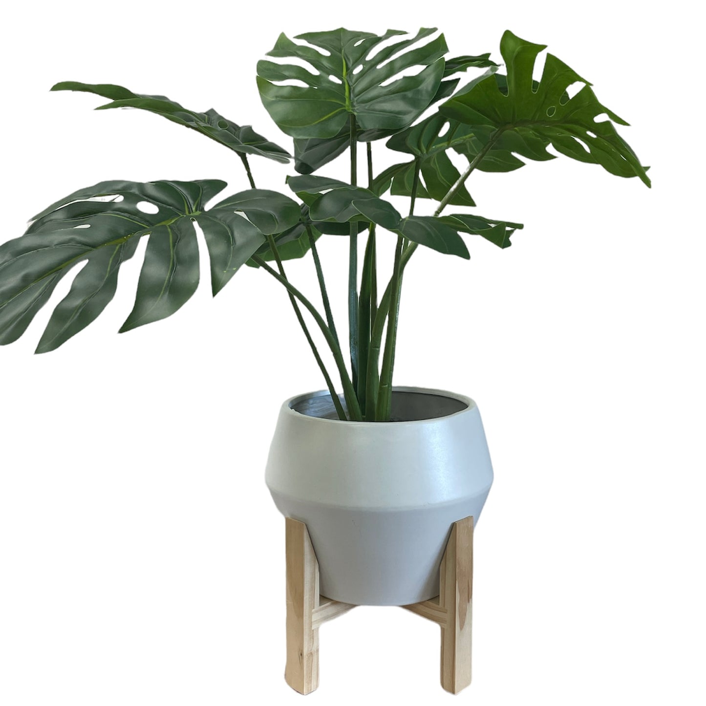 Plant On Wood Stand