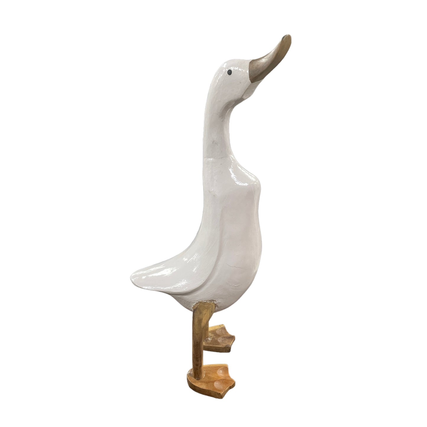 Large White Duck
